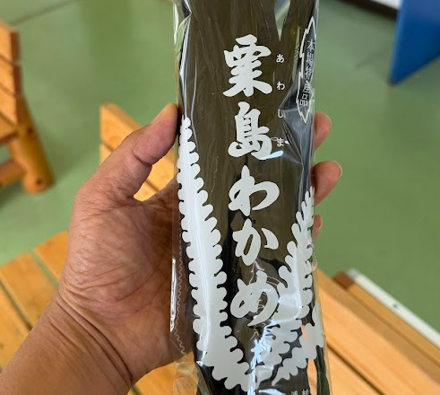 新潟県の粟島をゴミ拾い観光♪～よそ者ウェルカムな風土が素適♪～
