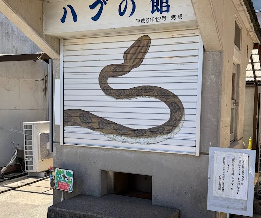 ゴミ拾いをするとご利益があるかも♪～徳之島編～