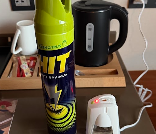 東ティモールの最終日に想定外が連続して起こりました…～蚊がホテルの部屋に大量発生…～